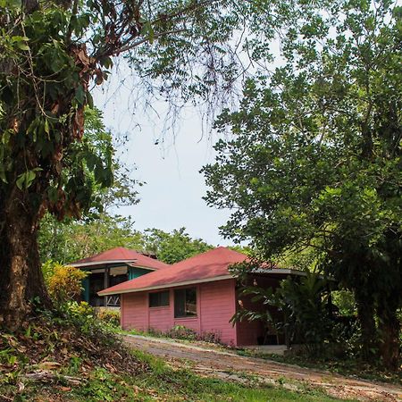 Winíka Alterra Vila Palenque Exterior foto
