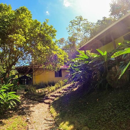 Winíka Alterra Vila Palenque Exterior foto