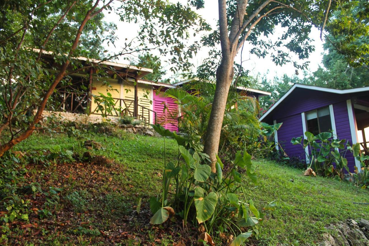 Winíka Alterra Vila Palenque Exterior foto