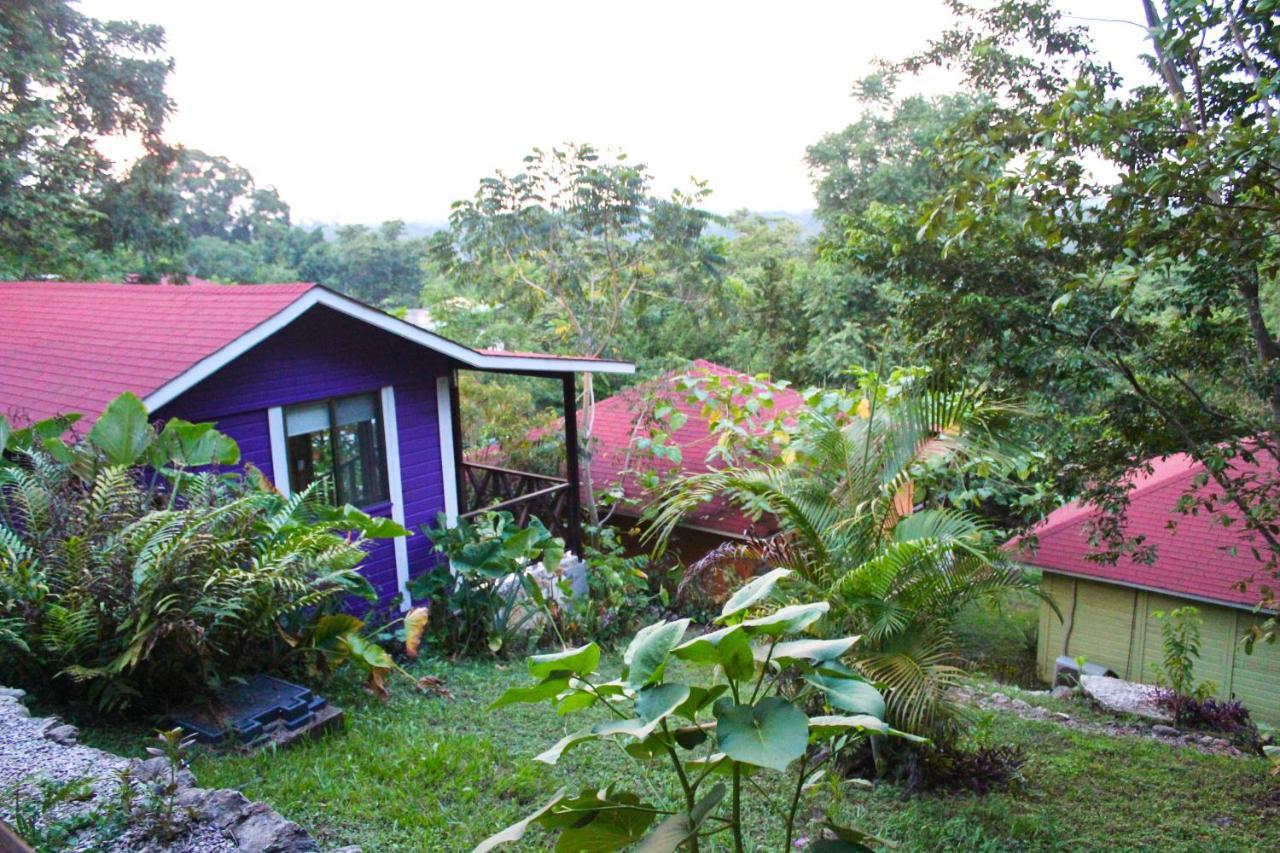 Winíka Alterra Vila Palenque Exterior foto
