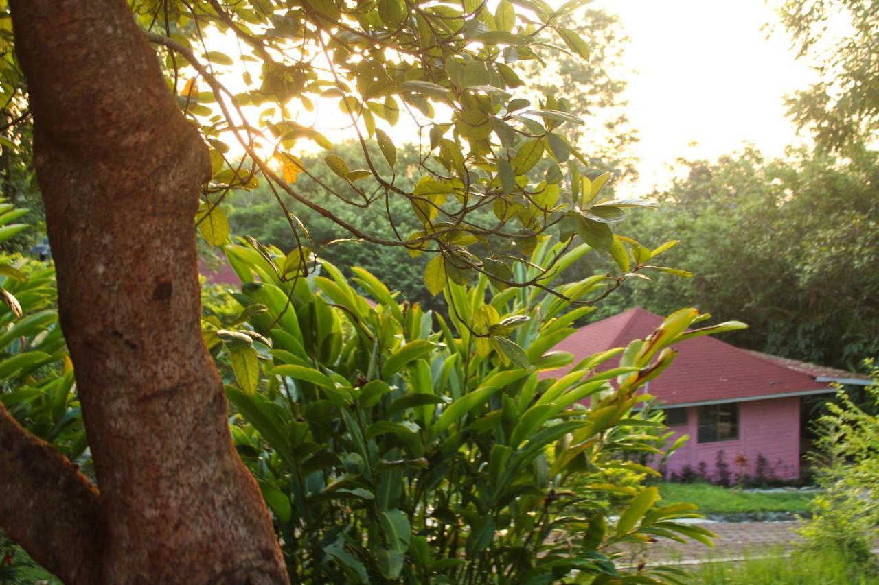 Winíka Alterra Vila Palenque Exterior foto