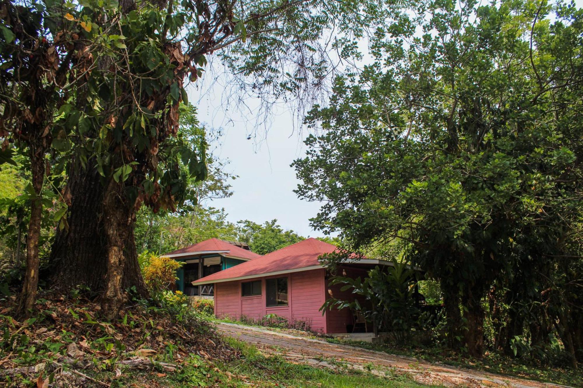 Winíka Alterra Vila Palenque Exterior foto
